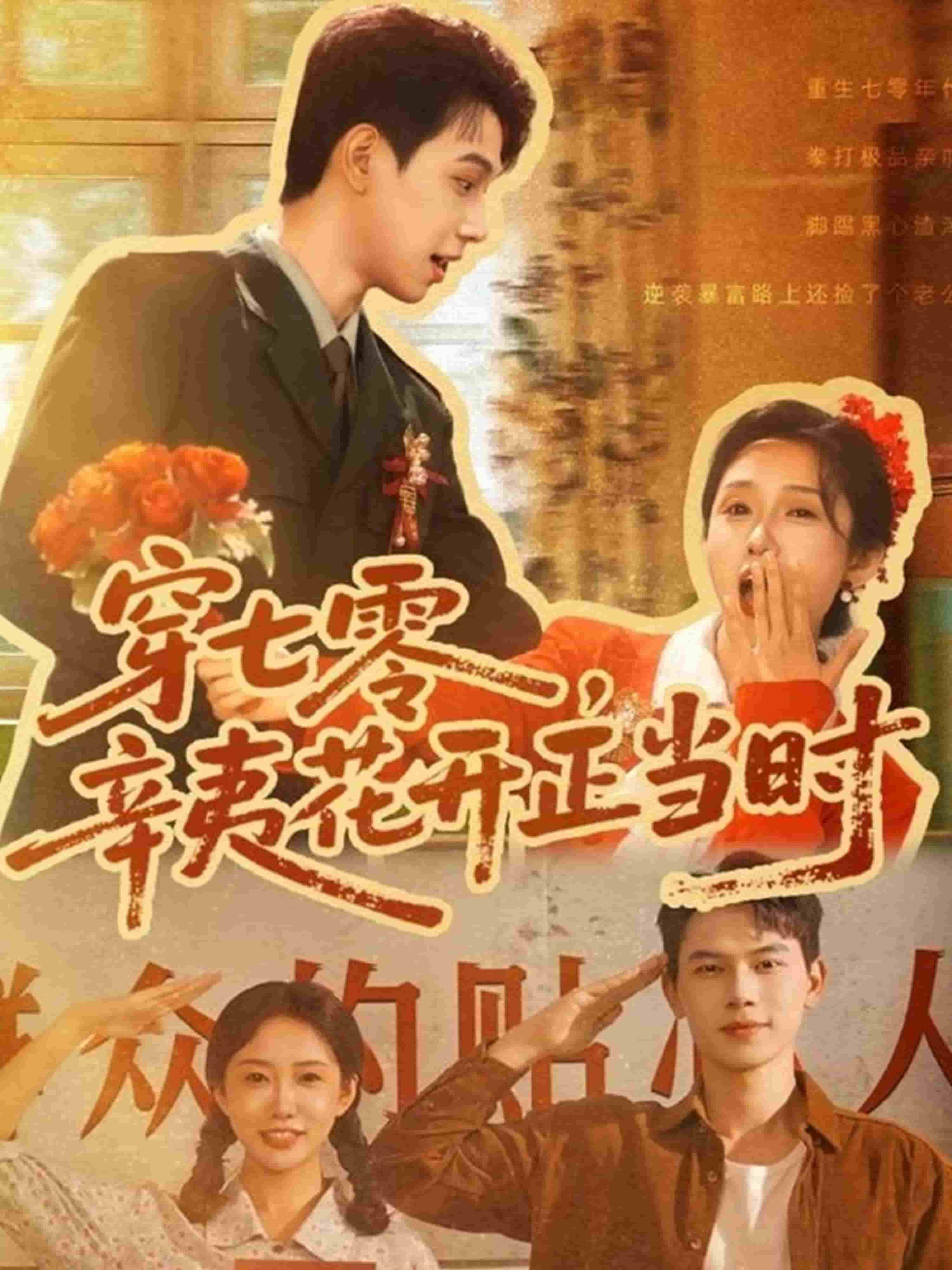 穿七零辛夷花开正当时