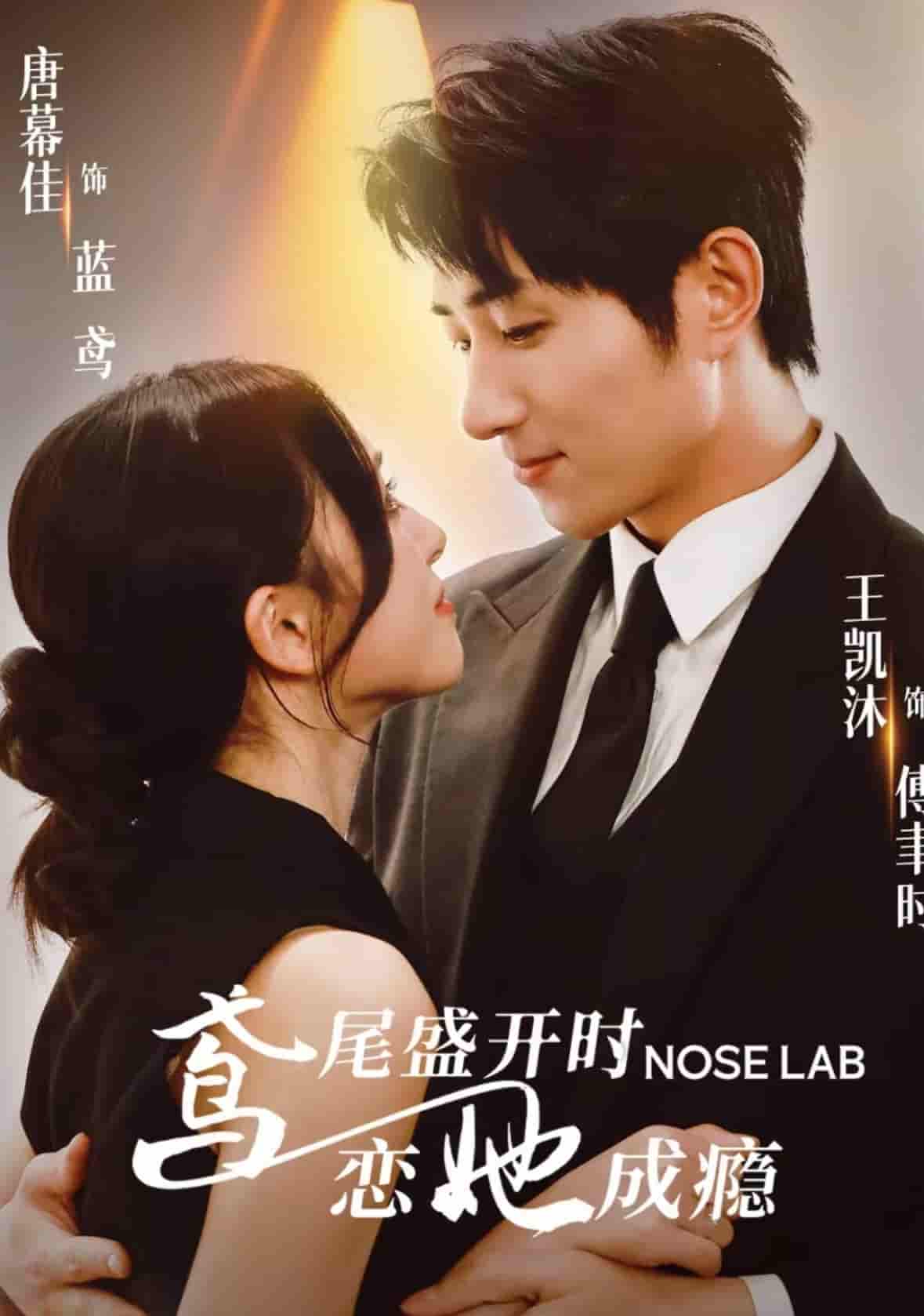 鸢尾盛开时恋她成瘾