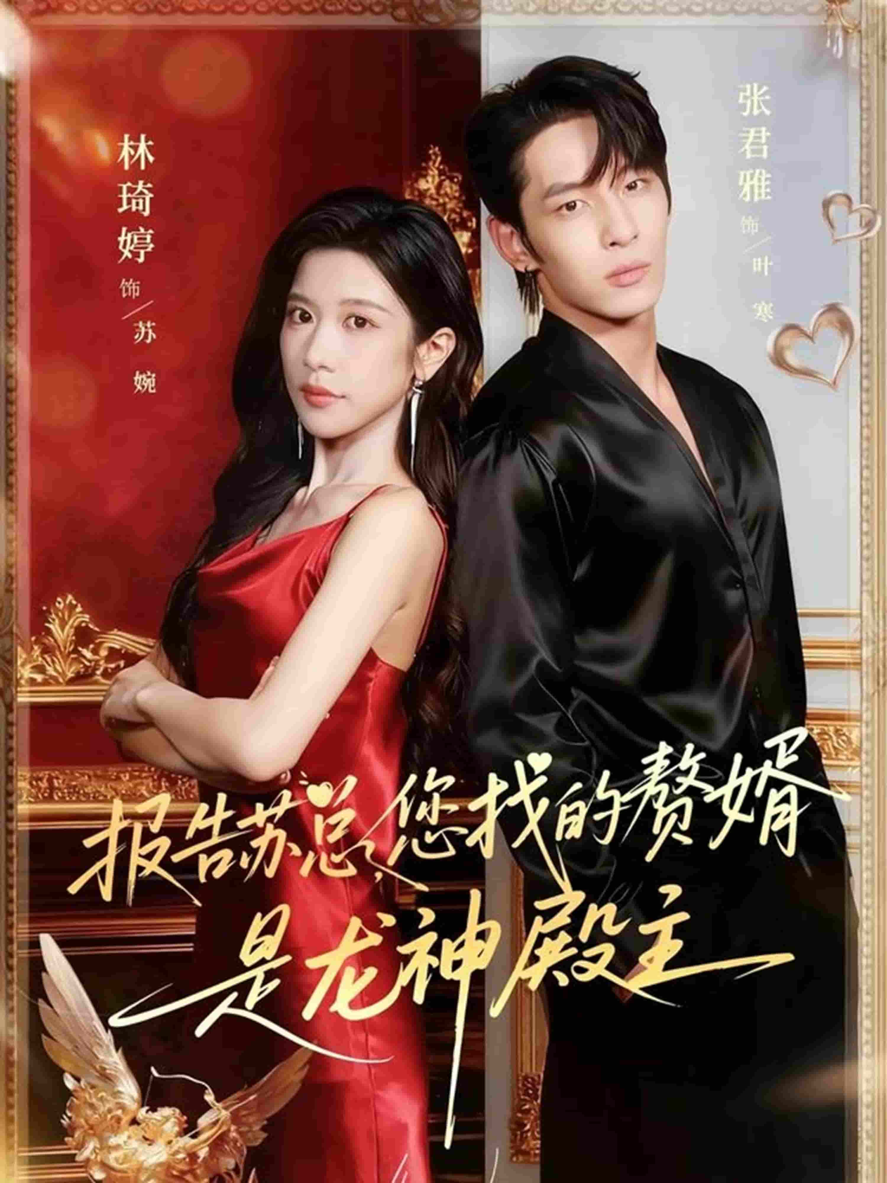 报告苏总，您找的赞婿是龙神殿主