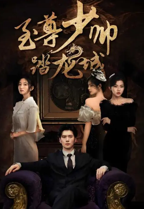 至尊少帅踏龙城